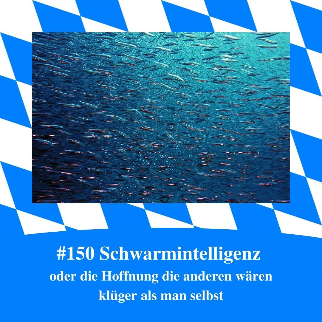 Bild für Folge Nummer 150 des bayerischen Podcasts Bayern Absolut. Eine Unterwasseraufnahme eines Fischschwarms. Darunter steht der Titel der Folge: “Schwarmintelligenz oder die Hoffnung die anderen wären klüger als man selbst” Das Bild ist umrahmt von weiß-blauen bayerischen Rauten.